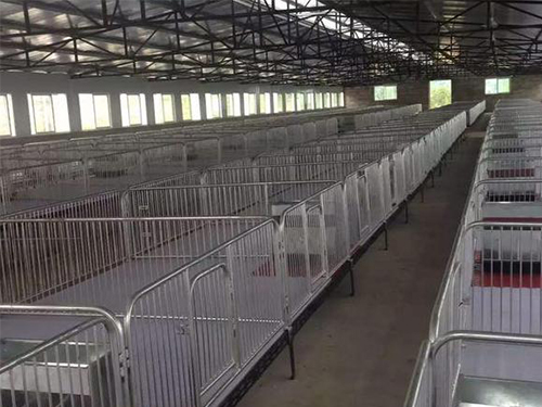自贡养猪设备保育床厂家